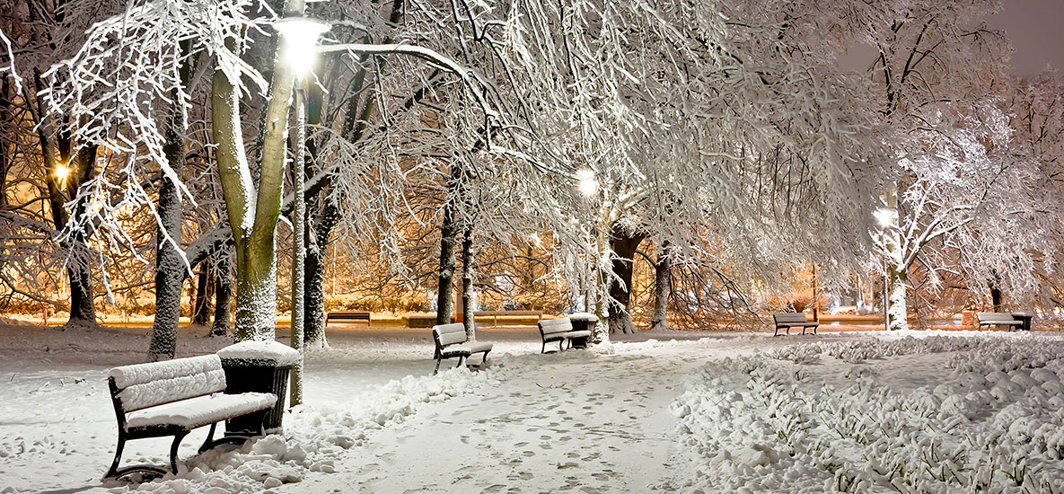 winter