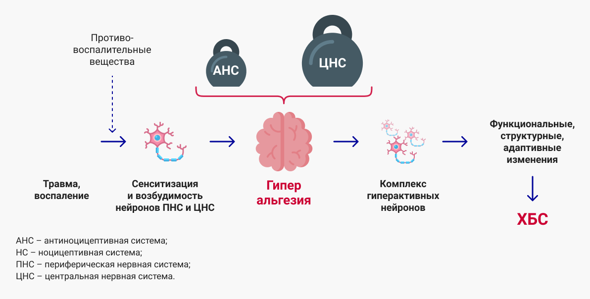 Схема формирования ХБС