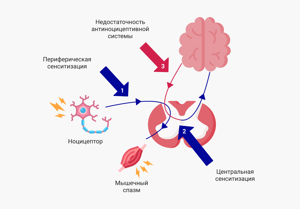 Феномен «болевой памяти»